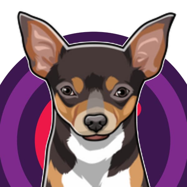 Kees - Kantoorhond